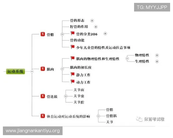 太空体育app如何帮助用户科学制定运动目标与追踪运动效果 太空体育app如何帮助用户科学制定运动目标与追踪运动效果